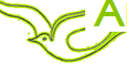 Appel d'Air Coaching