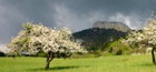 L'annuaire de la Chartreuse